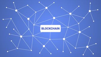 星空体育网页版-英超青训采用虚拟现实技术强化战术理解与应变能力，英超vr技术