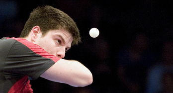 xingkong体育-乒乓球运动走进特教学校实现教育共融,乒乓文化特色学校